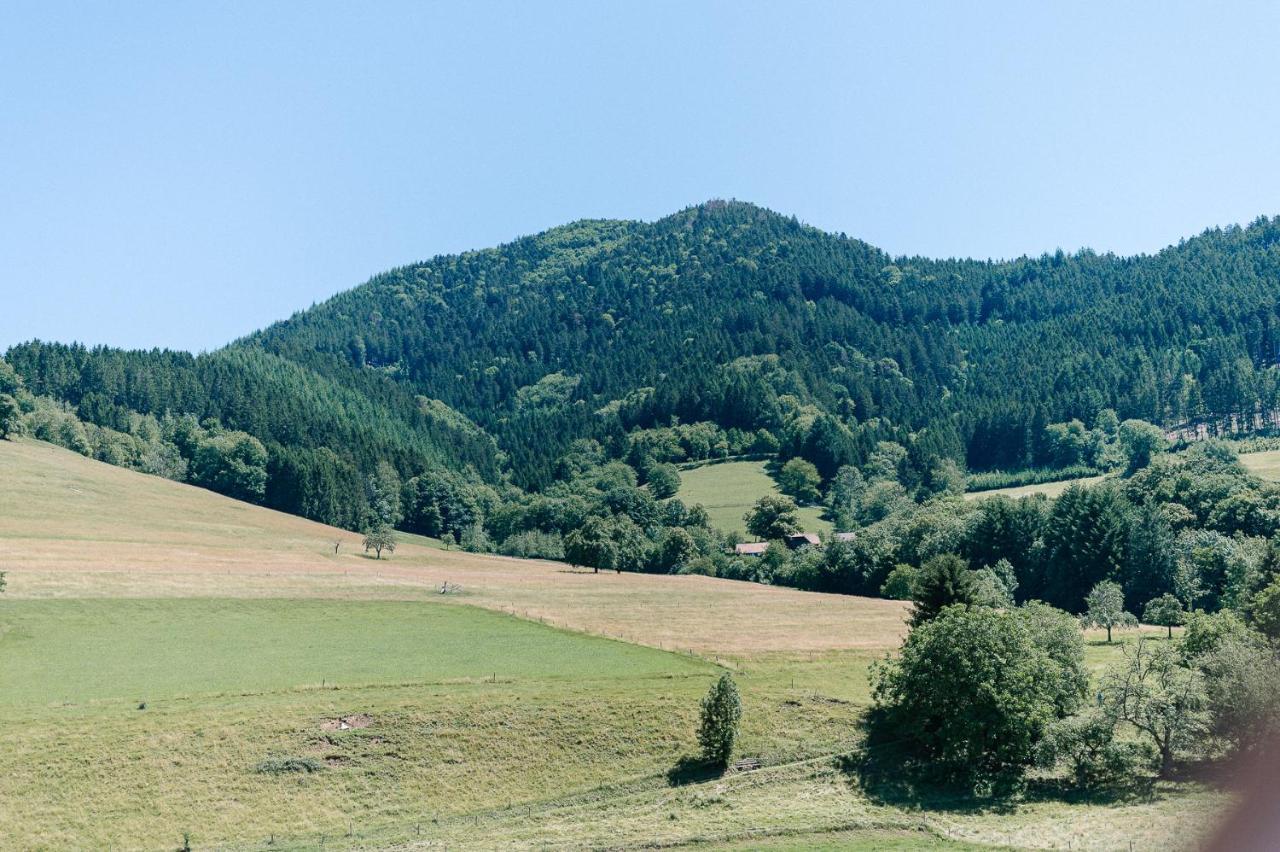 Moderne 2 Zi.Fewo Blackforest Art Naehe Freiburg Simonswald Exteriör bild